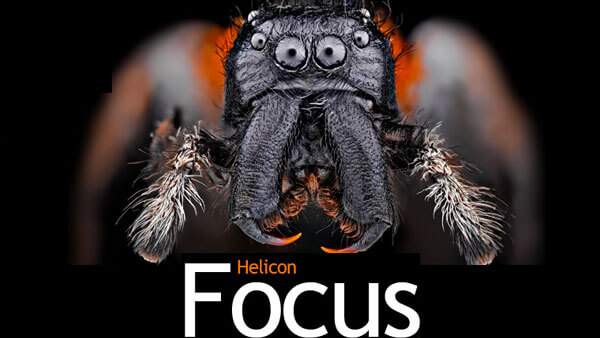 Helicon