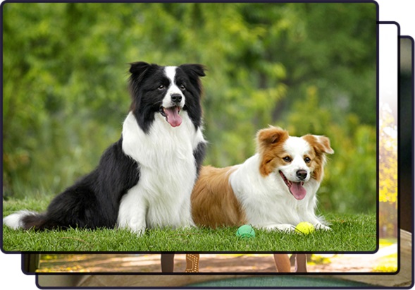 金舟苹果HEIC图片转换器